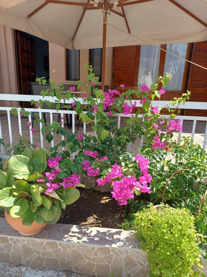 Cozy Apartments إسترو المظهر الخارجي الصورة